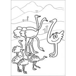 Página para colorir: Avestruz (animais) #722 - Páginas para Colorir Imprimíveis Gratuitamente
