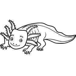 Desenho Axolote (Animais) #184569 para imprimir e colorir