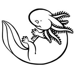 Desenho Axolote (Animais) #184571 para imprimir e colorir