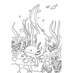 Desenho Axolote (Animais) #184574 para imprimir e colorir