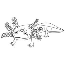 Desenho Axolote (Animais) #184577 para imprimir e colorir