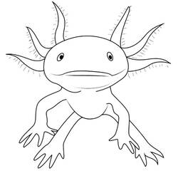 Desenho Axolote (Animais) #184580 para imprimir e colorir