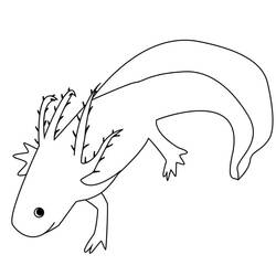 Desenho Axolote (Animais) #184583 para imprimir e colorir