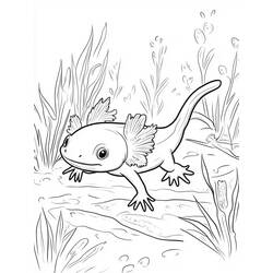 Desenho Axolote (Animais) #220215 para imprimir e colorir