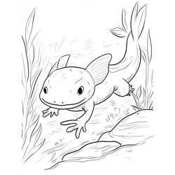 Desenho Axolote (Animais) #220219 para imprimir e colorir