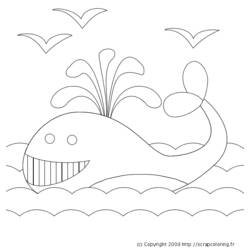 Página para colorir: Baleia (animais) #889 - Páginas para Colorir Imprimíveis Gratuitamente