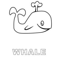 Página para colorir: Baleia (animais) #905 - Páginas para Colorir Imprimíveis Gratuitamente