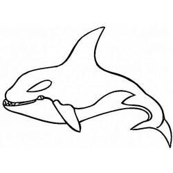 Página para colorir: Baleia (animais) #941 - Páginas para Colorir Imprimíveis Gratuitamente