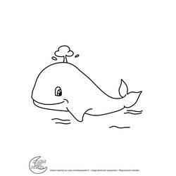 Página para colorir: Baleia (animais) #942 - Páginas para Colorir Imprimíveis Gratuitamente