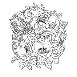 Desenho Beija-flor (Animais) #208579 para imprimir e colorir