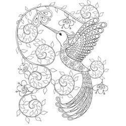 Desenho Beija-flor (Animais) #208581 para imprimir e colorir