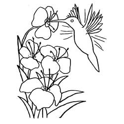 Desenho Beija-flor (Animais) #208586 para imprimir e colorir