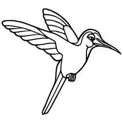 Desenho Beija-flor (Animais) #208588 para imprimir e colorir