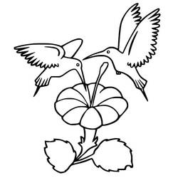Desenho Beija-flor (Animais) #208610 para imprimir e colorir
