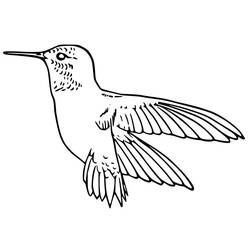 Desenho Beija-flor (Animais) #208618 para imprimir e colorir