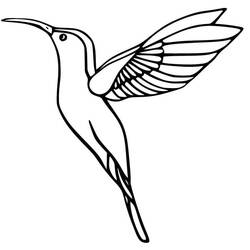 Desenho Beija-flor (Animais) #208623 para imprimir e colorir