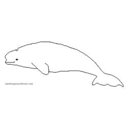 Página para colorir: beluga (animais) #1063 - Páginas para Colorir Imprimíveis Gratuitamente