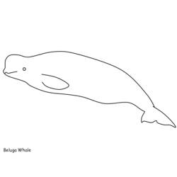 Página para colorir: beluga (animais) #1067 - Páginas para Colorir Imprimíveis Gratuitamente