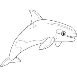 Página para colorir: beluga (animais) #1073 - Páginas para Colorir Imprimíveis Gratuitamente