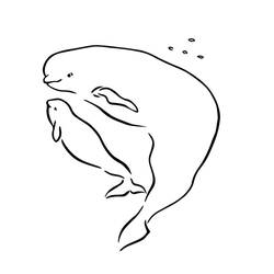 Desenho Beluga (Animais) #210353 para imprimir e colorir