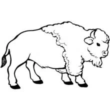 Desenho Bisão (Animais) #1195 para imprimir e colorir