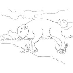 Desenho Bisão (Animais) #205519 para imprimir e colorir