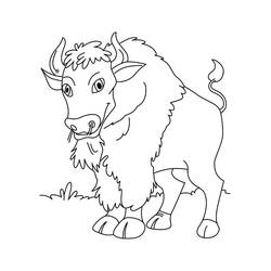 Desenho Bisão (Animais) #205528 para imprimir e colorir