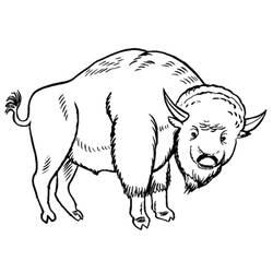 Desenho Bisão (Animais) #205534 para imprimir e colorir