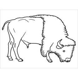 Desenho imprimível de Bisão (Animais) #205536 para pintar e colorir
