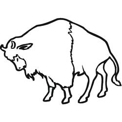Desenho Bisão (Animais) #205538 para imprimir e colorir