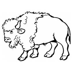Desenhos para colorir: Búfalo - Páginas para Colorir Imprimíveis Gratuitamente