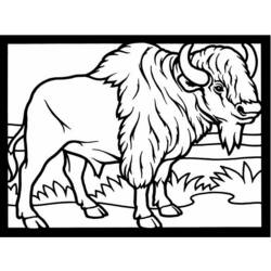 Página para colorir: Búfalo (animais) #1191 - Páginas para Colorir Imprimíveis Gratuitamente