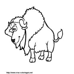 Página para colorir: Búfalo (animais) #1203 - Páginas para Colorir Imprimíveis Gratuitamente