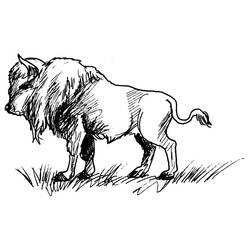 Página para colorir: Búfalo (animais) #1206 - Páginas para Colorir Imprimíveis Gratuitamente