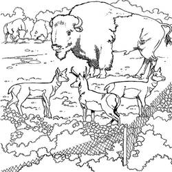 Página para colorir: Búfalo (animais) #1209 - Páginas para Colorir Imprimíveis Gratuitamente