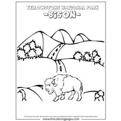 Página para colorir: Búfalo (animais) #1239 - Páginas para Colorir Imprimíveis Gratuitamente