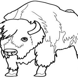 Página para colorir: Búfalo (animais) #1252 - Páginas para Colorir Imprimíveis Gratuitamente