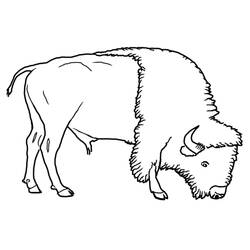 Página para colorir: Búfalo (animais) #1282 - Páginas para Colorir Imprimíveis Gratuitamente