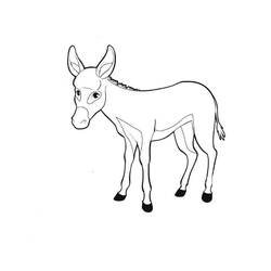 Página para colorir: Burro (Animais) #197834 - Páginas para Colorir Imprimíveis Gratuitamente