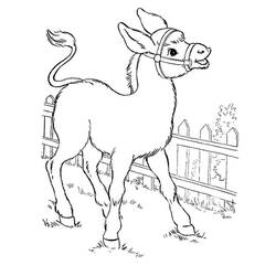 Página para colorir: Burro (Animais) #197835 - Páginas para Colorir Imprimíveis Gratuitamente