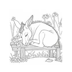 Página para colorir: Burro (Animais) #197857 - Páginas para Colorir Imprimíveis Gratuitamente
