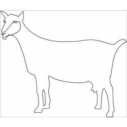Página para colorir: Cabra (animais) #2489 - Páginas para Colorir Imprimíveis Gratuitamente