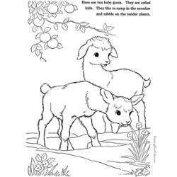 Página para colorir: Cabra (animais) #2520 - Páginas para Colorir Imprimíveis Gratuitamente