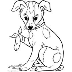 Página para colorir: Cachorro (animais) #27 - Páginas para Colorir Imprimíveis Gratuitamente