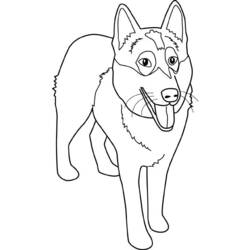 Página para colorir: Cachorro (animais) #30 - Páginas para Colorir Imprimíveis Gratuitamente