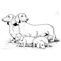 Página para colorir: Cachorro (animais) #3099 - Páginas para Colorir Imprimíveis Gratuitamente