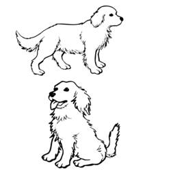 Página para colorir: Cachorro (animais) #3118 - Páginas para Colorir Imprimíveis Gratuitamente