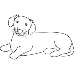 Página para colorir: Cachorro (animais) #3126 - Páginas para Colorir Imprimíveis Gratuitamente