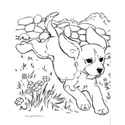 Página para colorir: Cachorro (animais) #3129 - Páginas para Colorir Imprimíveis Gratuitamente