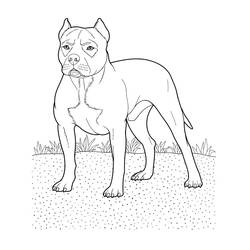Página para colorir: Cachorro (animais) #3138 - Páginas para Colorir Imprimíveis Gratuitamente